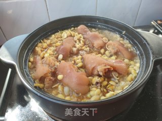 猪脚炖黄豆芽的做法步骤：9