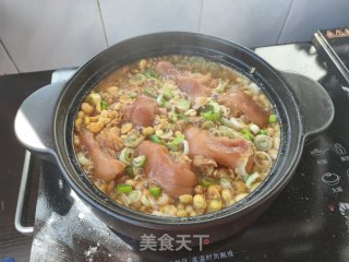 猪脚炖黄豆芽的做法步骤：10