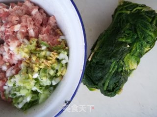 荠菜鲜肉馄饨的做法步骤：1