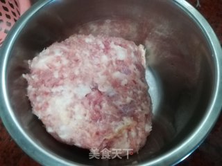 春日应季美食——茴香苗猪肉馅饺子的做法步骤：1