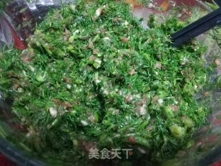 春日应季美食——茴香苗猪肉馅饺子的做法步骤：4