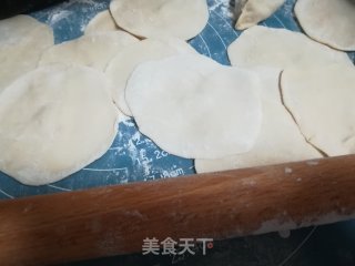 春日应季美食——茴香苗猪肉馅饺子的做法步骤：5