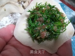 春日应季美食——茴香苗猪肉馅饺子的做法步骤：6
