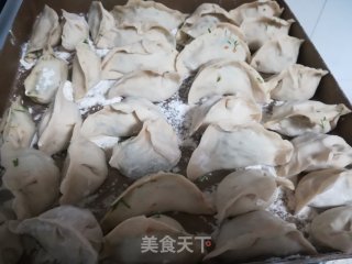 春日应季美食——茴香苗猪肉馅饺子的做法步骤：7