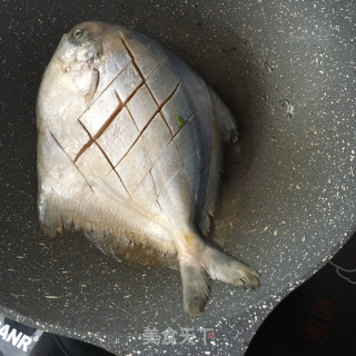 红烧银鲳鱼的做法步骤：4