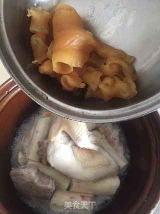 补气健脾花胶鸡的做法步骤：6