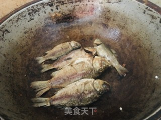 野鲫鱼豆腐汤的做法步骤：3