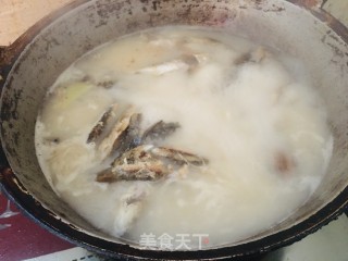 野鲫鱼豆腐汤的做法步骤：5