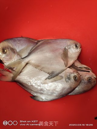 家常菜-红烧小鲳鱼的做法步骤：1
