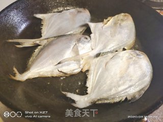 家常菜-红烧小鲳鱼的做法步骤：2