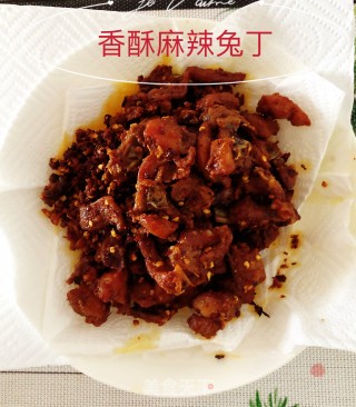 香酥麻辣兔丁的做法步骤：9