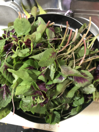 清炒红汗菜（春季必吃）的做法步骤：1