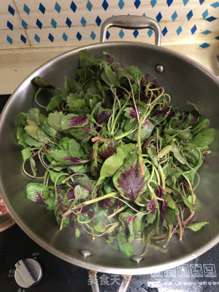 清炒红汗菜（春季必吃）的做法步骤：3