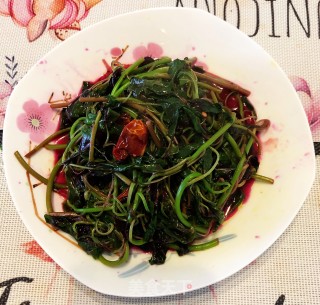 清炒红汗菜（春季必吃）的做法步骤：5