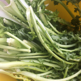 猪肉苔菜炖粉条的做法步骤：2