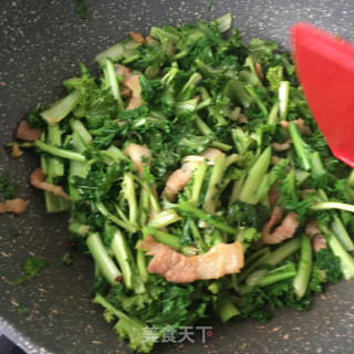 猪肉苔菜炖粉条的做法步骤：10