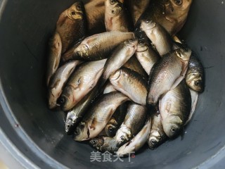 奶白鲫鱼汤的做法步骤：1
