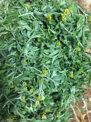 春季应景美食：清明果的做法步骤：1