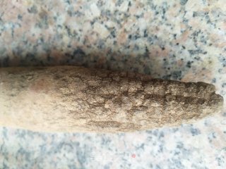 山药排骨汤的做法步骤：4
