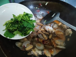 辣炒花甲（蛤蜊）的做法步骤：6