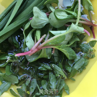 荠菜鱼丸面的做法步骤：17