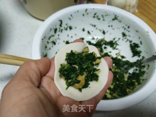 荠荠菜饺子——春日美味的做法步骤：10