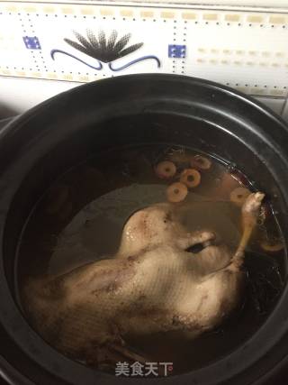 灵芝水鸭汤的做法步骤：5