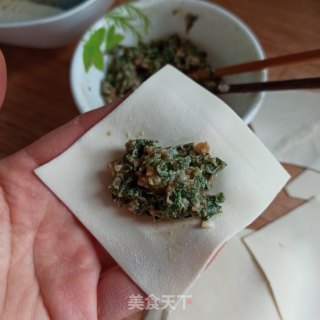 三种荠菜鲜肉馄饨的包法的做法步骤：5
