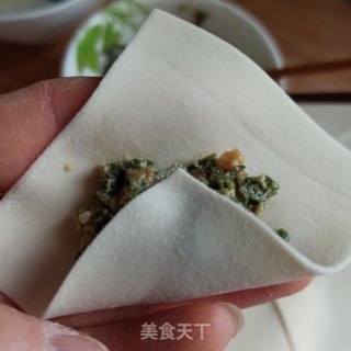 三种荠菜鲜肉馄饨的包法的做法步骤：6