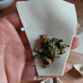 三种荠菜鲜肉馄饨的包法的做法步骤：9