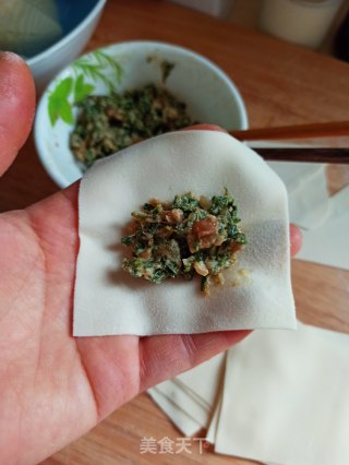 三种荠菜鲜肉馄饨的包法的做法步骤：13