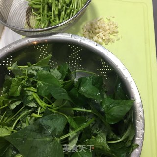 蒜蓉炒蕃薯叶的做法步骤：1