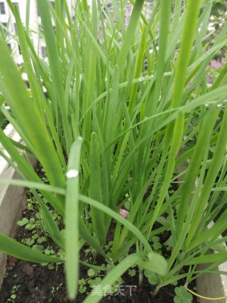 春韭豆芽炒豆干的做法步骤：1