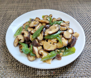 蚝油鲜菇的做法步骤：9