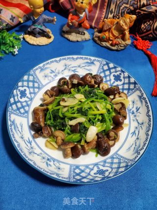 香菇炒菠菜的做法步骤：7