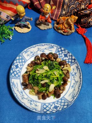 香菇炒菠菜的做法步骤：8