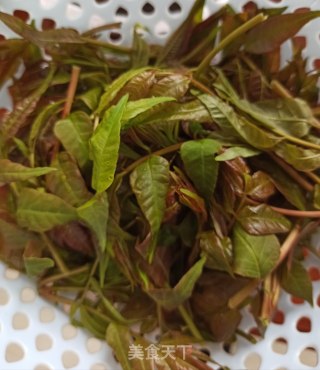 香椿摊蛋的做法步骤：1