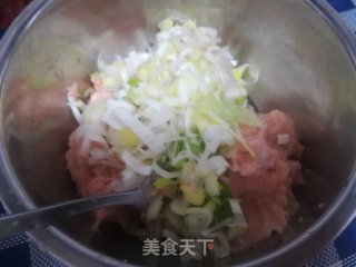 鱼肉馄饨的做法步骤：4