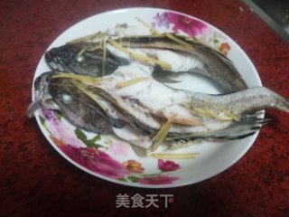 清蒸油斑鱼的做法步骤：6