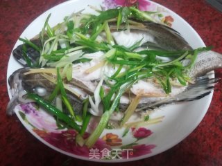 清蒸油斑鱼的做法步骤：7