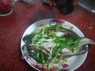清蒸油斑鱼的做法步骤：8