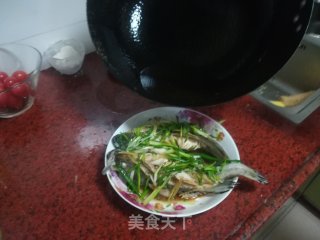 清蒸油斑鱼的做法步骤：9
