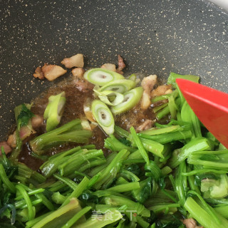 菠菜炖粉条的做法步骤：16