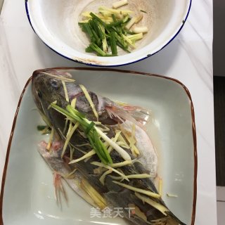 清蒸鲑鱼的做法步骤：1
