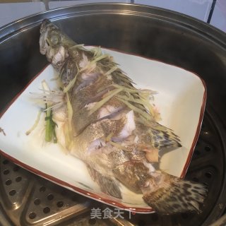 清蒸鲑鱼的做法步骤：2