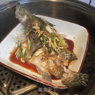 清蒸鲑鱼的做法步骤：4