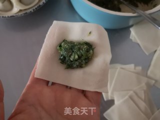 茴香猪肉馄饨的做法步骤：8