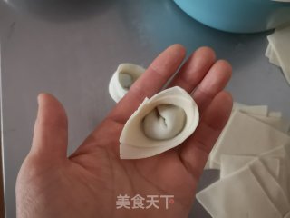 茴香猪肉馄饨的做法步骤：9
