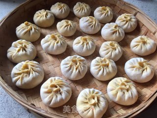 萝卜茴香馅南瓜包和水煎饺的做法步骤：12