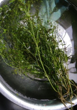 地菜煮鸡蛋的做法步骤：1